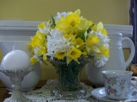 Narcis - lepota proleća u vazi