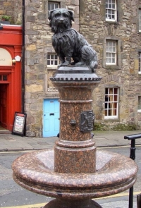 Grejfrajers Bobi - najverniji pas u Škotskoj