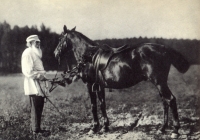 Lav Nikolajevič Tolstoj i konji 