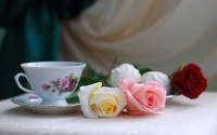 Ruže čajevke