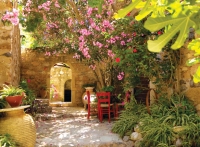 Biljke u mediteranskom vrtu i dvorištu