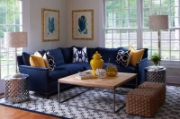 Dekorisanje dnevne sobe sa plavim kaučom ili sofom