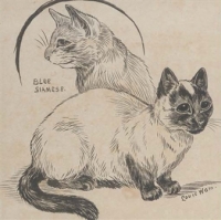 Poreklo sijamske mačke